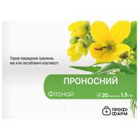 Фитотерапия и грибы