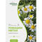 Ромашки цветки Solution Pharm по 40 г  (коробка с внутр. пакетом) - фото 1