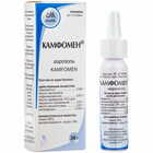 Камфомен аерозоль по 30 г (балон)