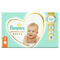 Підгузки Pampers Premium Care Midi розмір 3, 6-10 кг, 120 шт.