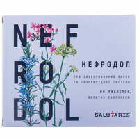 Нефродол таблетки №60 (6 блістерів х 10 таблеток)