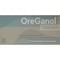 Ореганол супозиторії вагіналу. №10 (2 блістери х 5 супозиторіїв) - фото 1