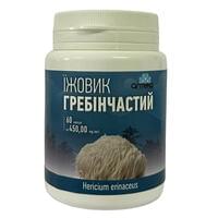 Ежовик гребенчатый Аптека 283 капсулы по 450 мг №60 (флакон)
