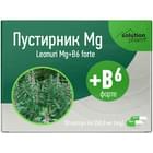 Купити Пустирник Mg+B6 форте Solution Pharm капсули №30 (3 блістери х 10 капсул) Пустирник Mg+B6 форте Solution Pharm капсули №30 (3 блістери х 10 капсул)