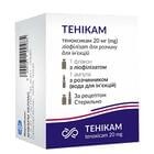 Купить Теникам лиофилизат д/ин. по 20 мг (флакон + растворитель по 2 мл) Теникам лиофилизат д/ин. по 20 мг (флакон + растворитель по 2 мл)