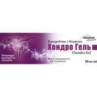Хондро гель Solution Pharm хондроитин с бодягой по 50 мл (туба)