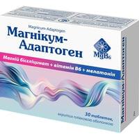 Магнікум-Адаптоген таблетки №30 (3 блістери х 10 таблеток)