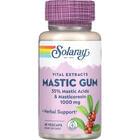 Solaray Екстракт смоли мастикового дерева по 1000 мг капсули №45