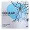 Целулар раствор д/ин. по 2 мл №5 (ампулы)
