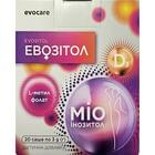 Эвозитол порошок по 3 г №20 (саше)