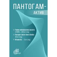 Купить Пантогам-Актив капсулы №60 (контейнер) Пантогам-Актив капсулы №60 (контейнер)