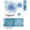 Итерол капсулы №10 - фото 1