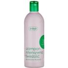 Шампунь Ziaja Интенсивная свежесть с экстрактом мяты 400 мл