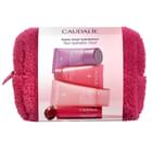 Набор Caudalie Дорожный 2025 Гиалуроновый лосьон 30 мл + Увлажняющий крем 15 мл + Гель для умывания 30 мл + Бальзам для губ 4,5 г