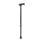 Тростина Dayang DY05939L алюмінієва регульована чорна - фото 1