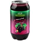 Напиток безалкогольный Immunitime Бузина слабогазированный 330 мл