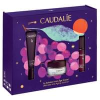 Купить Набор CAUDALIE (Кадали) Premier Cru Eye Cream 15 mL Set - Xmas 2026 Сыворотка 10 мл + Premier Cru Крем 15 мл + Premier Cru крем для глаз 15 мл Набор CAUDALIE (Кадали) Premier Cru Eye Cream 15 mL Set - Xmas 2026 Сыворотка 10 мл + Premier Cru Крем 15 мл + Premier Cru крем для глаз 15 мл