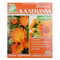 Календулы цветки Ключи Здоровья по 1,5 г №20 (фильтр-пакеты) - фото 1