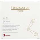 Тендисульфур Форте порошок д/орал. раствора по 8,6 г №14 (саше)