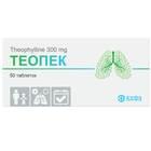 Теопэк таблетки по 300 мг №50 (5 блистеров х 10 таблеток)