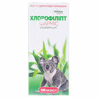 Хлорофиллипт Фармис Solution Pharm раствор д/ротов. полости по 100 мл (флакон)