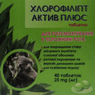 Хлорофіліпт актив плюс таблетки по 25 мг №40 (контейнер)