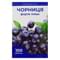 Чорниця Форте Плюс Enjee таблетки №100 (флакон)