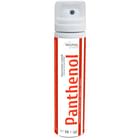 Пантенол Solution Pharm спрей по 58 г (балон)