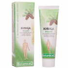 Купить Живица для заживления ран бальзам по 100 мл (туба) Живица для заживления ран бальзам по 100 мл (туба)