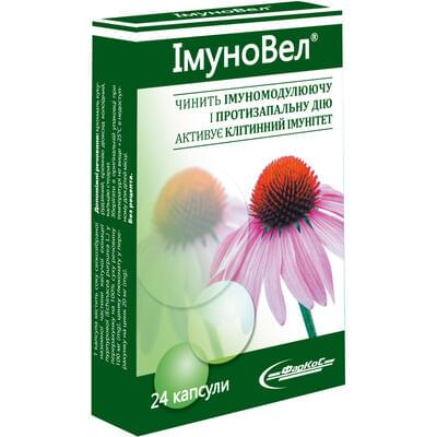 ИммуноВел капсулы №24 (2 блистера х 12 капсул)