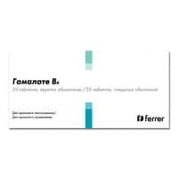 Купити Гамалате В6 таблетки №20 (2 блістери х 10 таблеток) Гамалате В6 таблетки №20 (2 блістери х 10 таблеток)