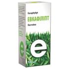 Евкафіліпта настойка Червона Зірка по 100 мл (флакон)