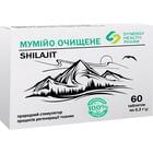 Мумие очищенное таблетки по 0,2 г №60 (2 блистера х 30 таблеток)