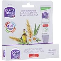 Купить Бальзам для губ Боро Плюс увлажняющий без запаха 10 г Бальзам для губ Боро Плюс увлажняющий без запаха 10 г